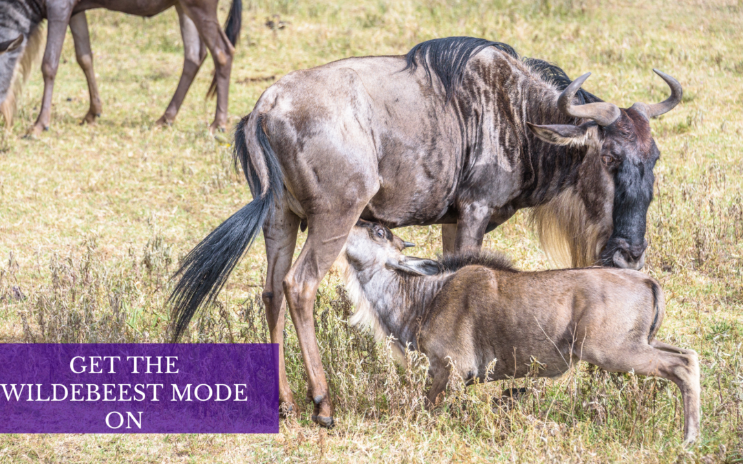 Get Your Wildebeest Mode On